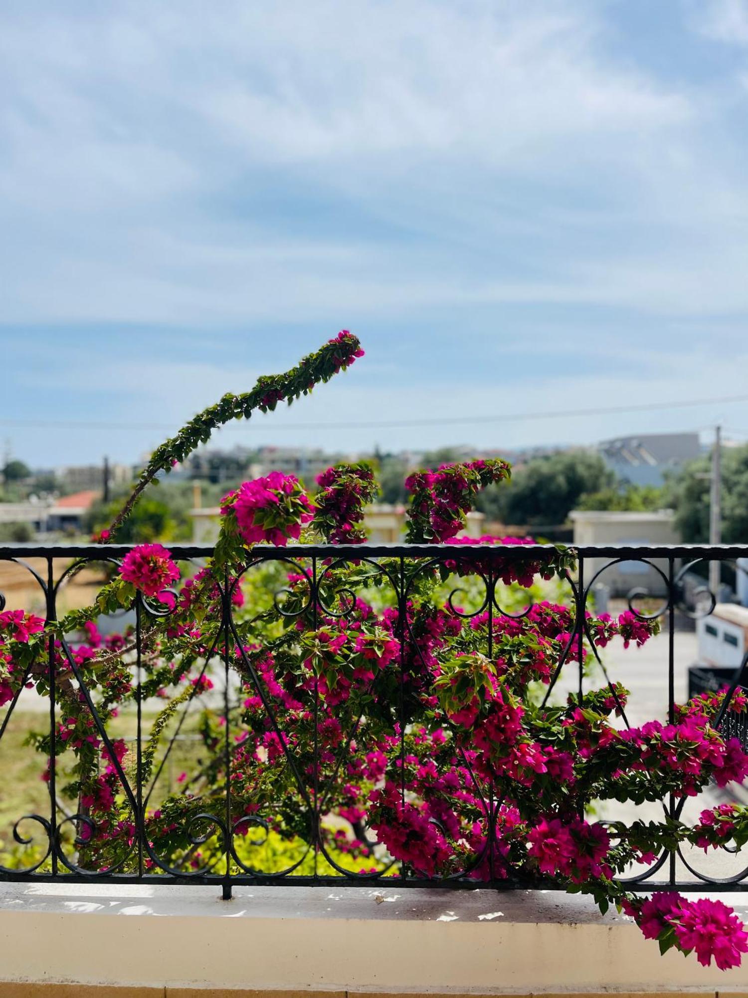 Thea Artemis Villa Kato Daratso Ngoại thất bức ảnh
